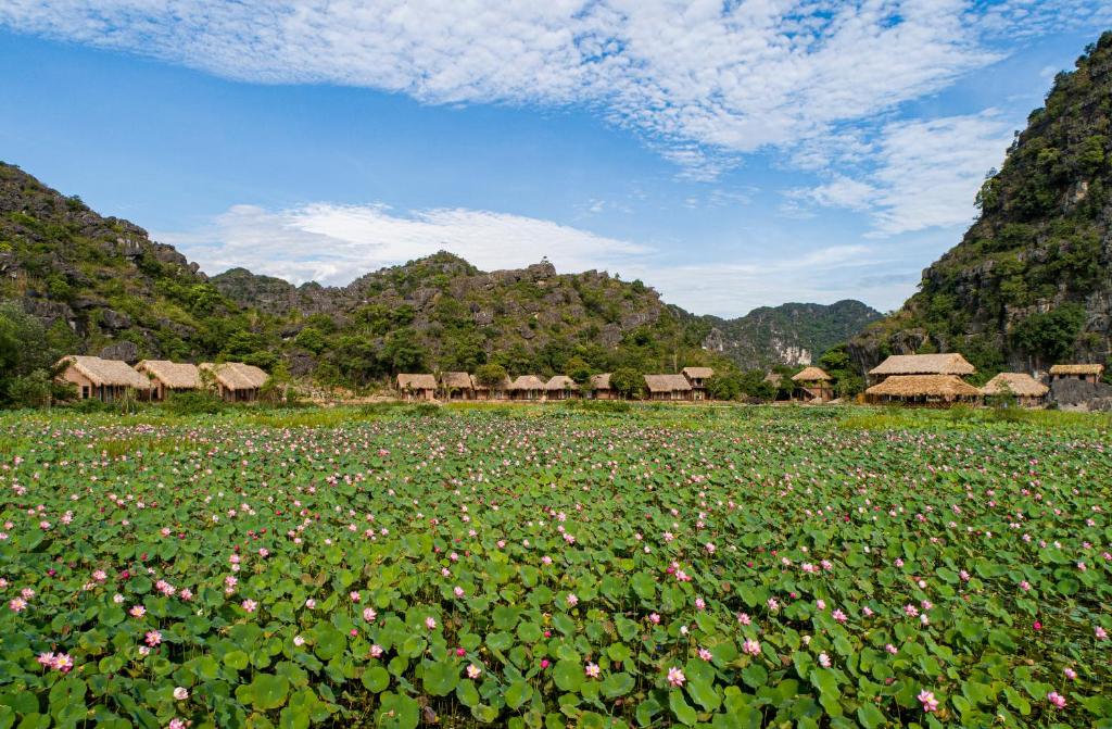 Mường Village Ninh Bình