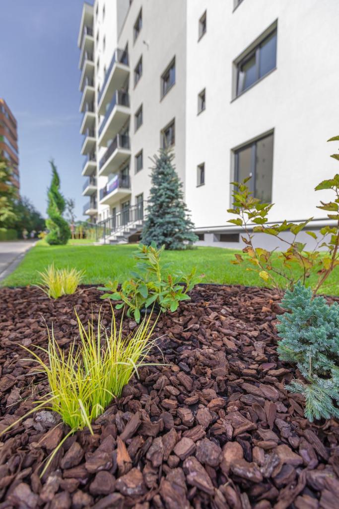 Avram Iancu Apartments photo 2