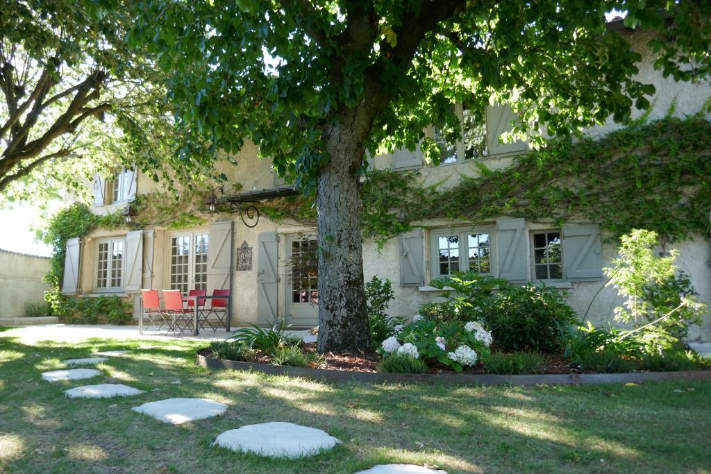 LE BEL AIR DE SAINT JEAN photo 1