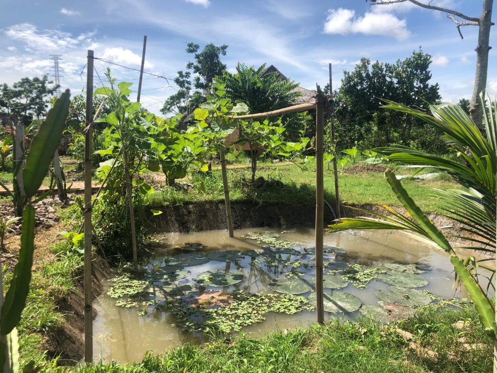 MEKONG DANIEL HOMESTAY CAN THO