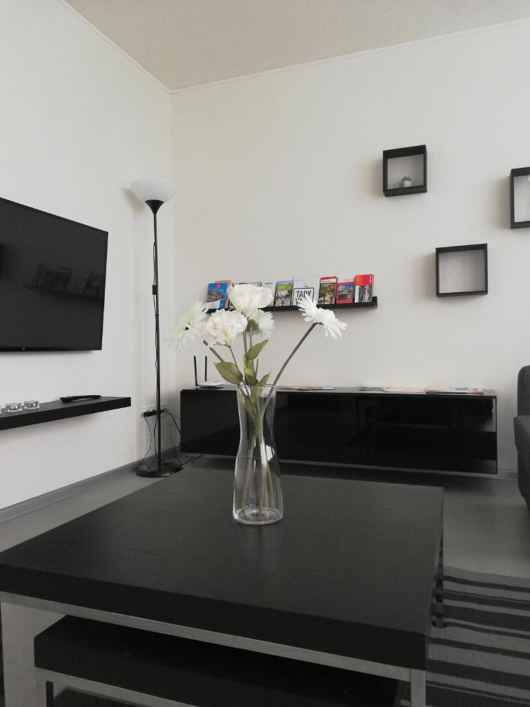 Apartmán Polička photo 4
