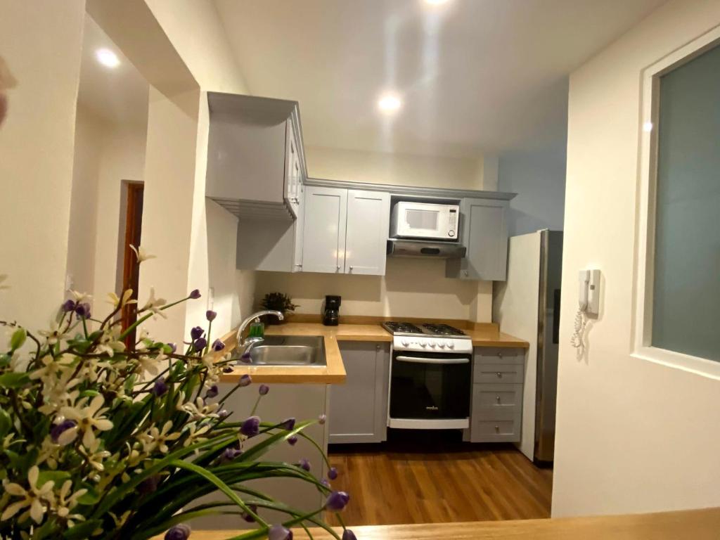 Апартаменты (Апартаменты с 2 спальнями), Casa Donceles Apt 5