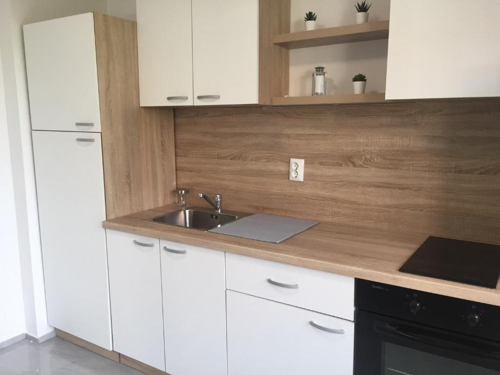 Apartman SONAS 2 with free private parking photo 2