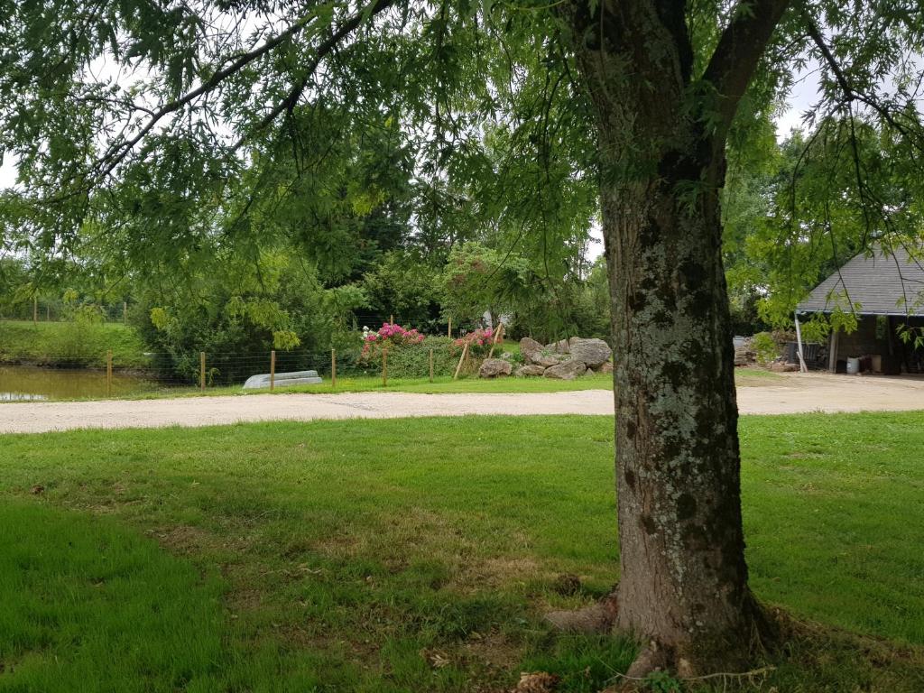 Gîte La Coulée Douce photo 1