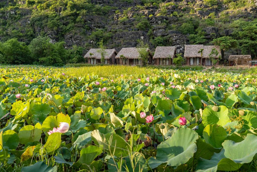 Mường Village Ninh Bình