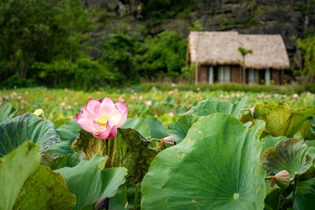 Mường Village Ninh Bình