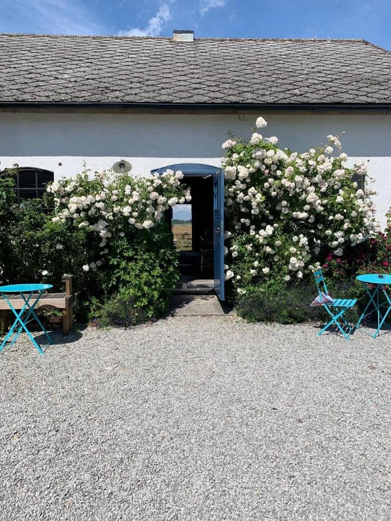 Rävåkra Bed & Breakfast photo 4