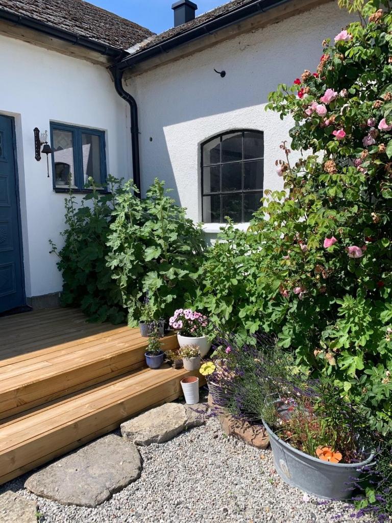 Rävåkra Bed & Breakfast photo 3
