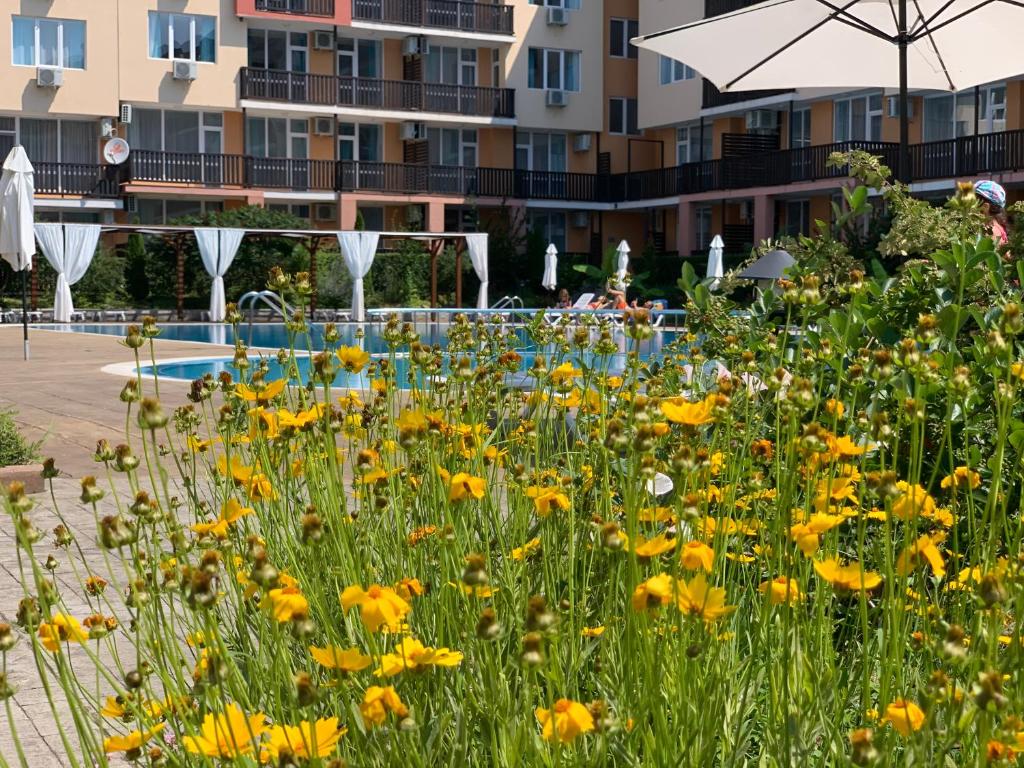 Apartcomplex Chateau Aheloy photo 1