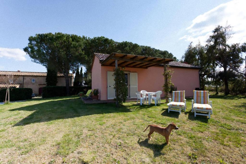 Agriturismo Antico Podere Il Polveraio photo 2