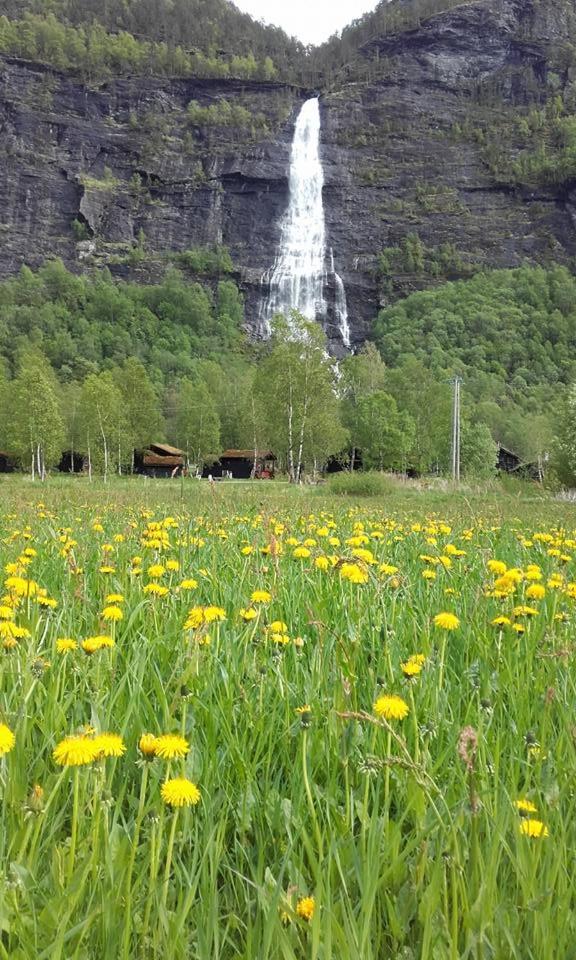 Vassbakken Kro og Camping photo 2