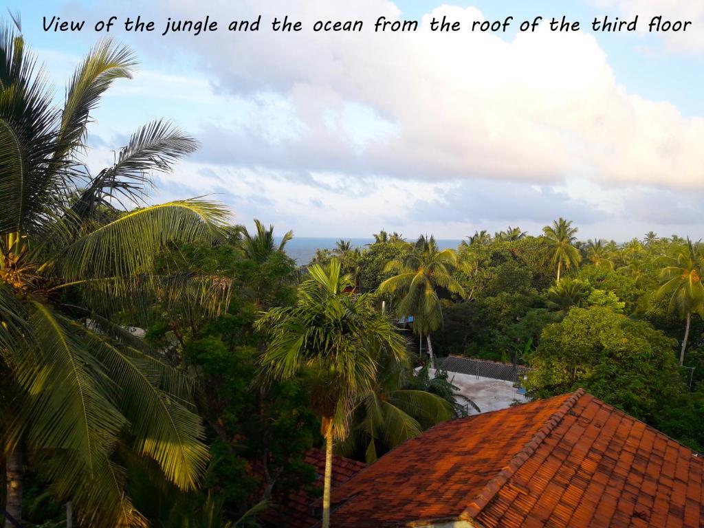 JungleVilla photo 4