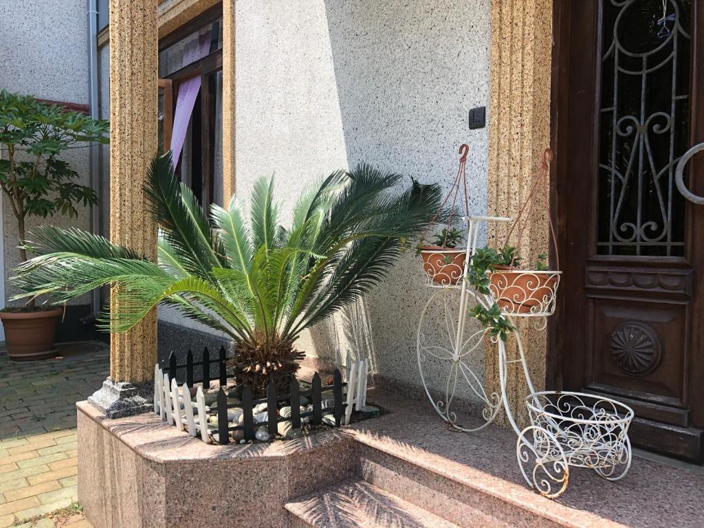 Irakli Guest House photo 2
