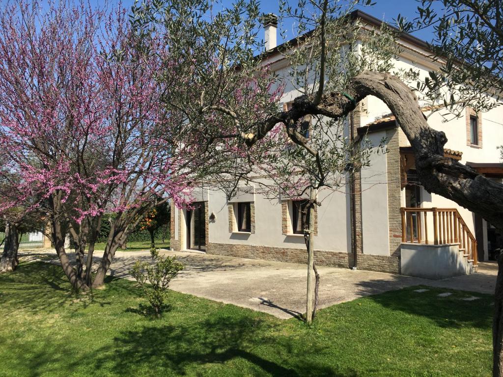 Az. Agr. Parco dei Buoi photo 1