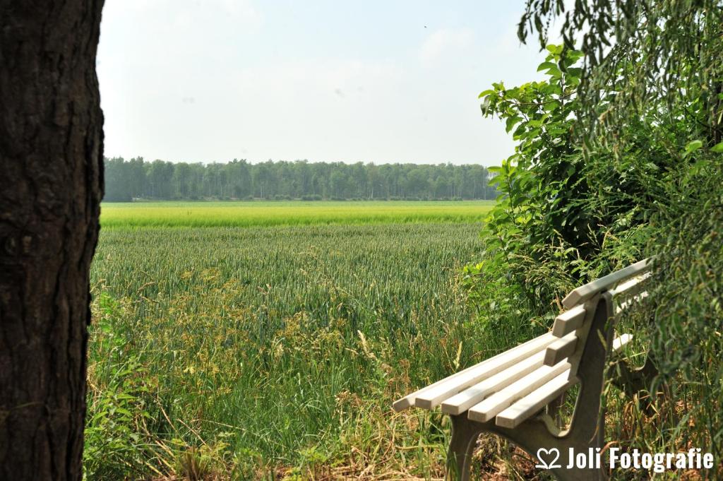 Buitengoed Het Achterdiep photo 3