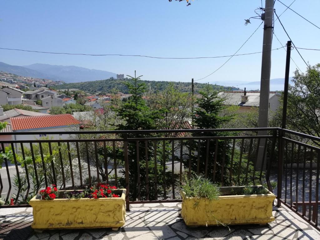 Branka Apartment