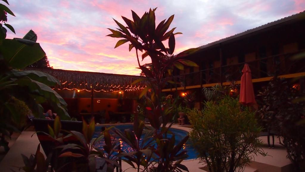 Samara Palm Lodge photo 1