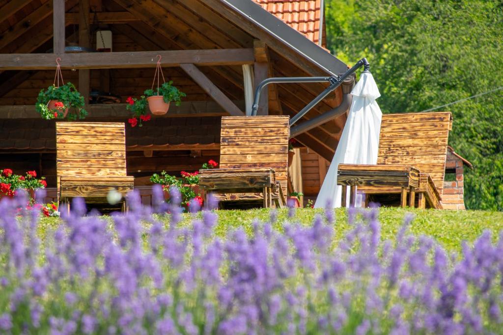 Kuslec Holiday Home photo 3