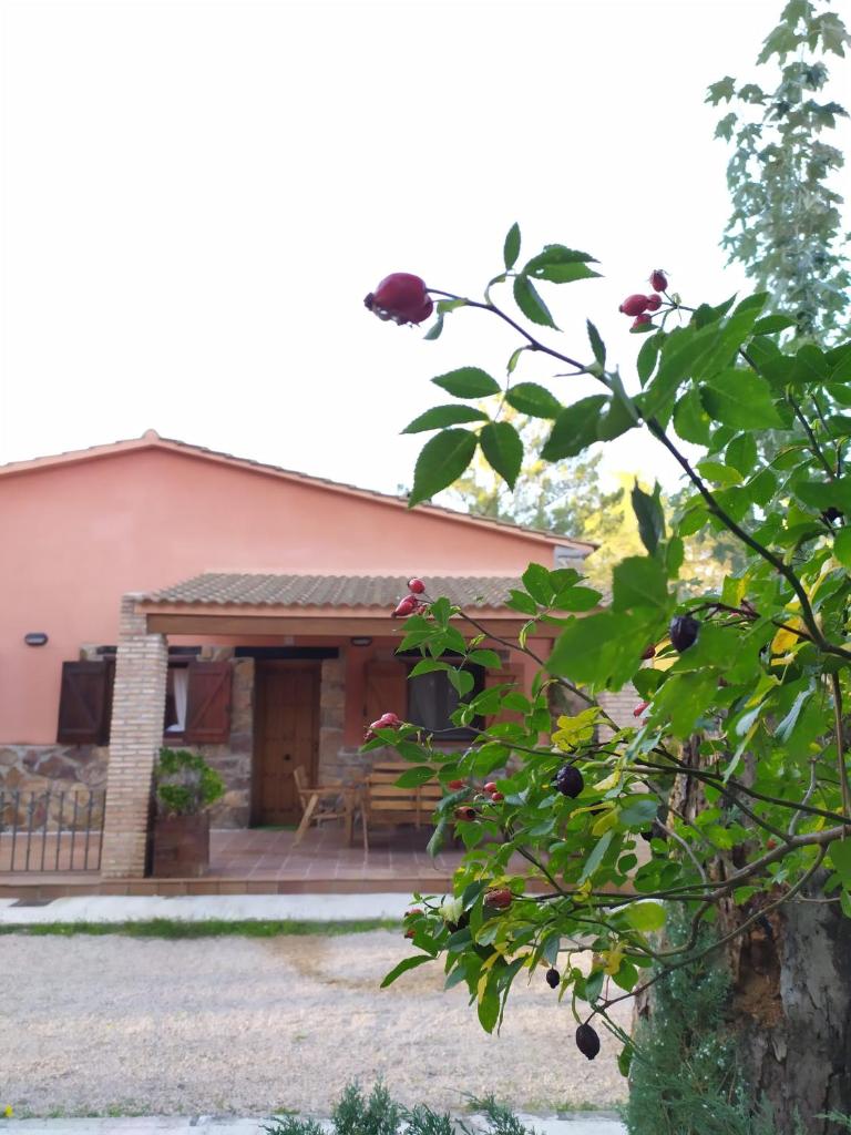 Rural Arco Iris photo 4
