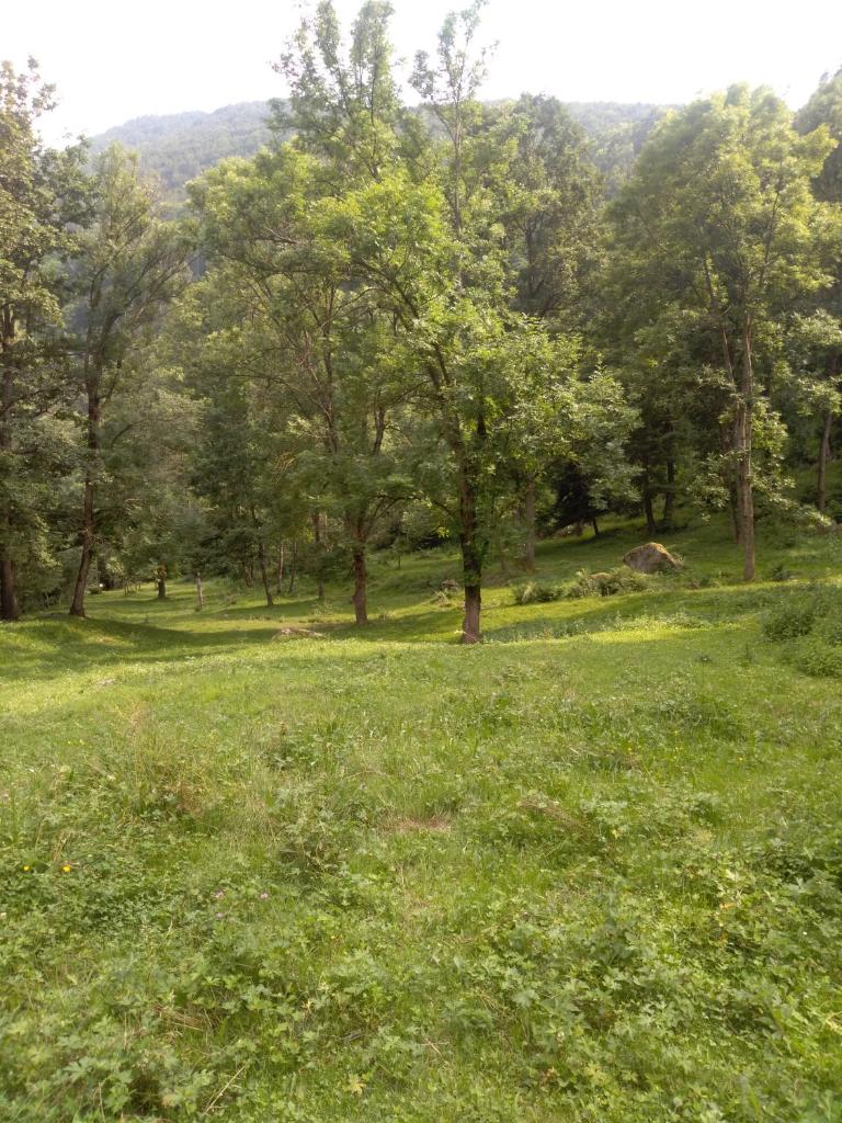 Agriturismo Ciambun photo 2