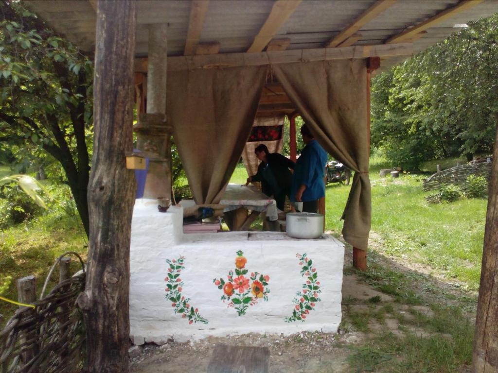 Maliovnytsya photo 3