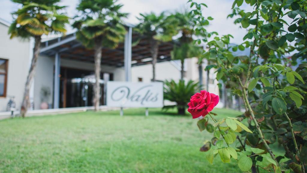 Valis Resort Hotel photo 3