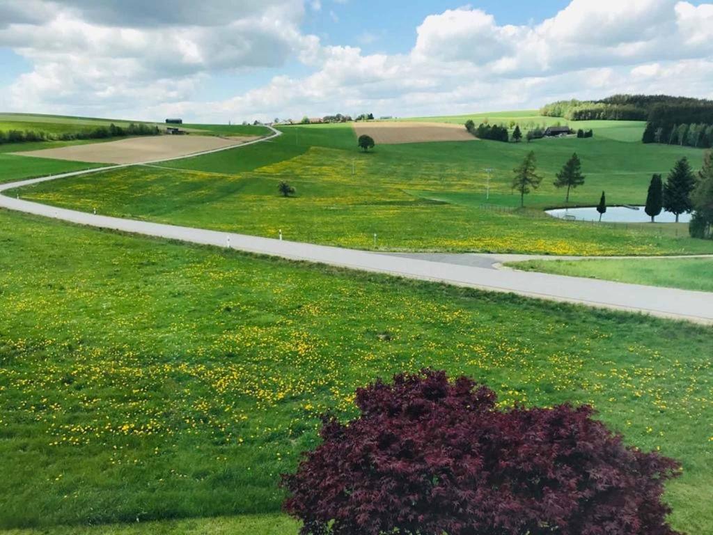 Ferienwohnung Anna mit Blick ins Grüne photo 1