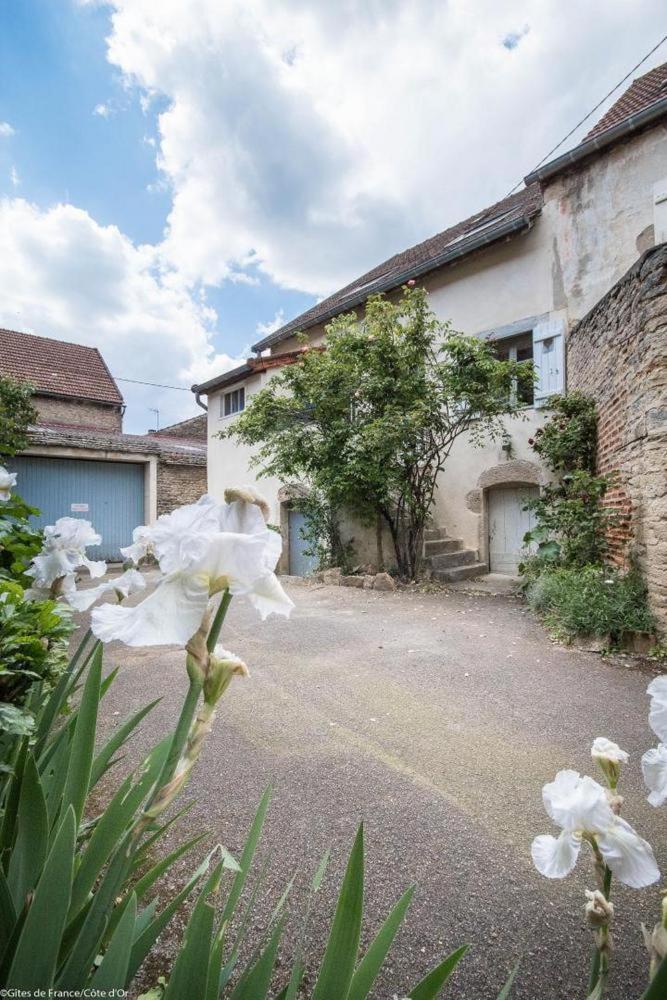 GITE Home Bacchus photo 1