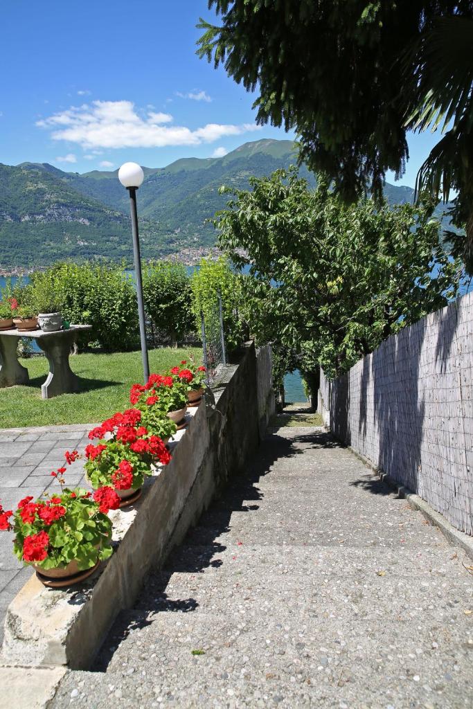 Hotel Helvetia photo 3