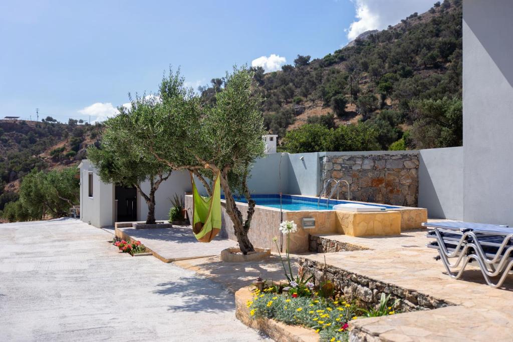 Triopetra Green Dream photo 1
