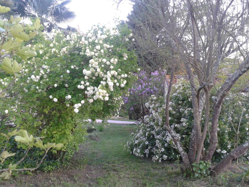 Le Logis du Pradet photo 4