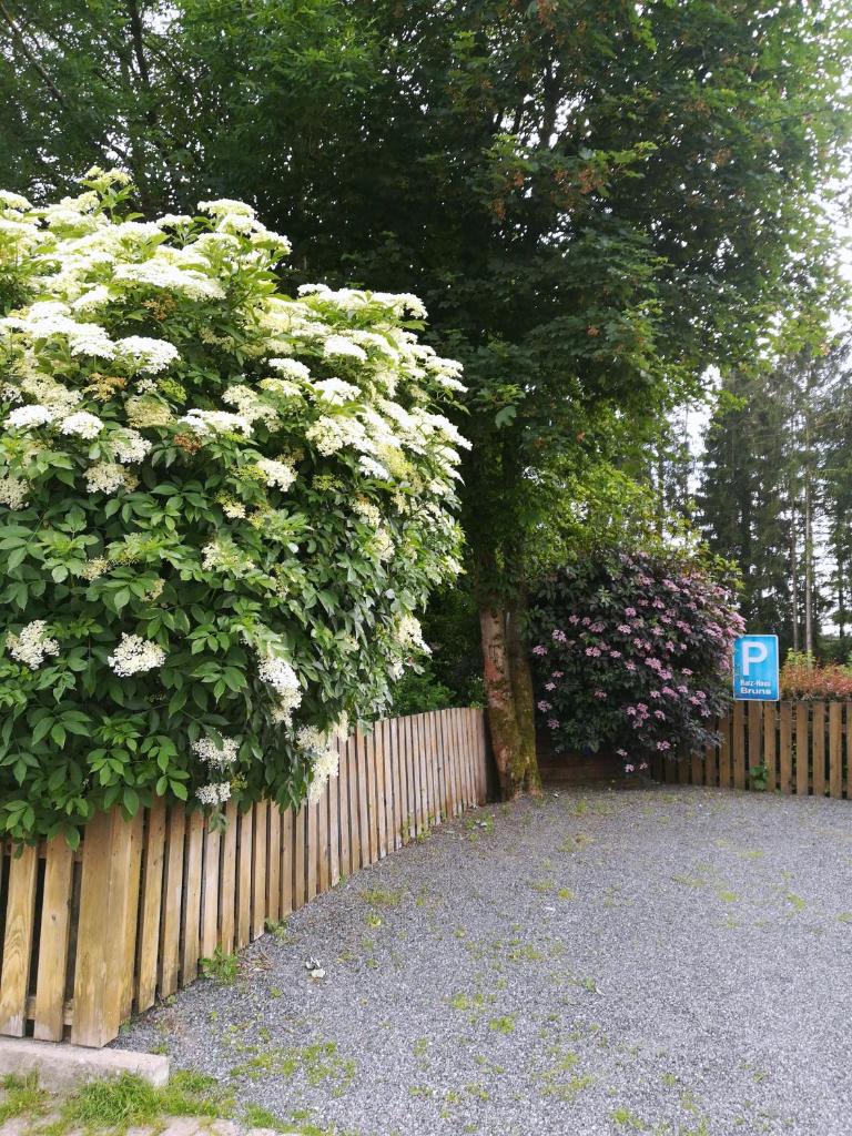 Ferienwohnung im Harz-Haus-Bruns photo 2