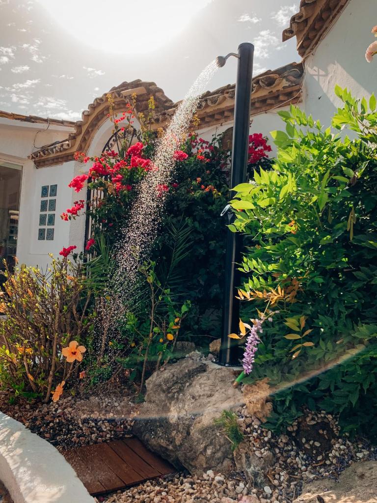 Jardines De La Reina Boutique Bed & Breakfast photo 3
