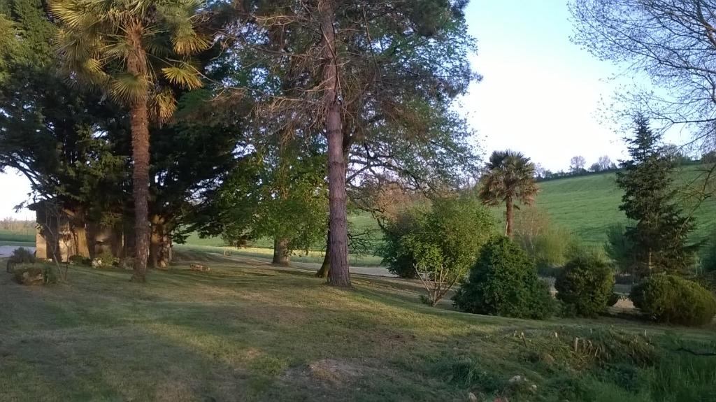 Le Logis du Pradet photo 2