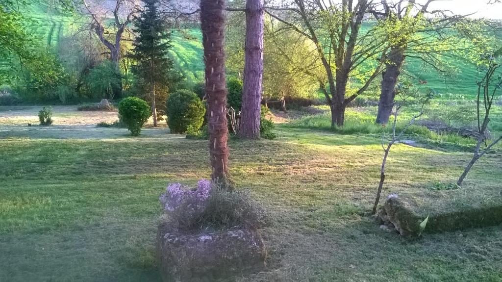 Le Logis du Pradet photo 1
