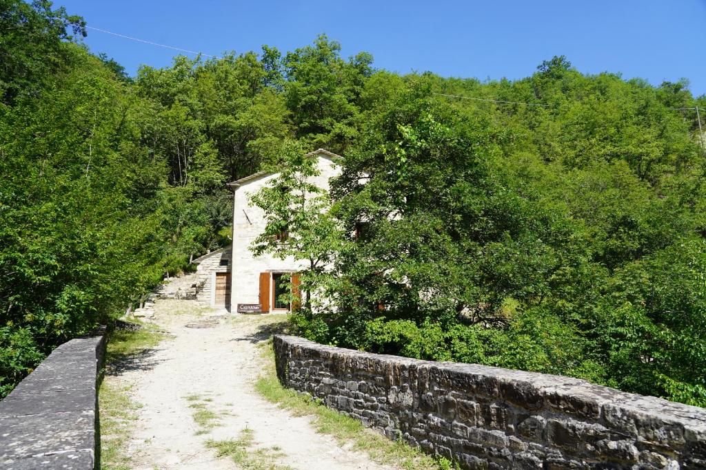 Casina del Ponte photo 4