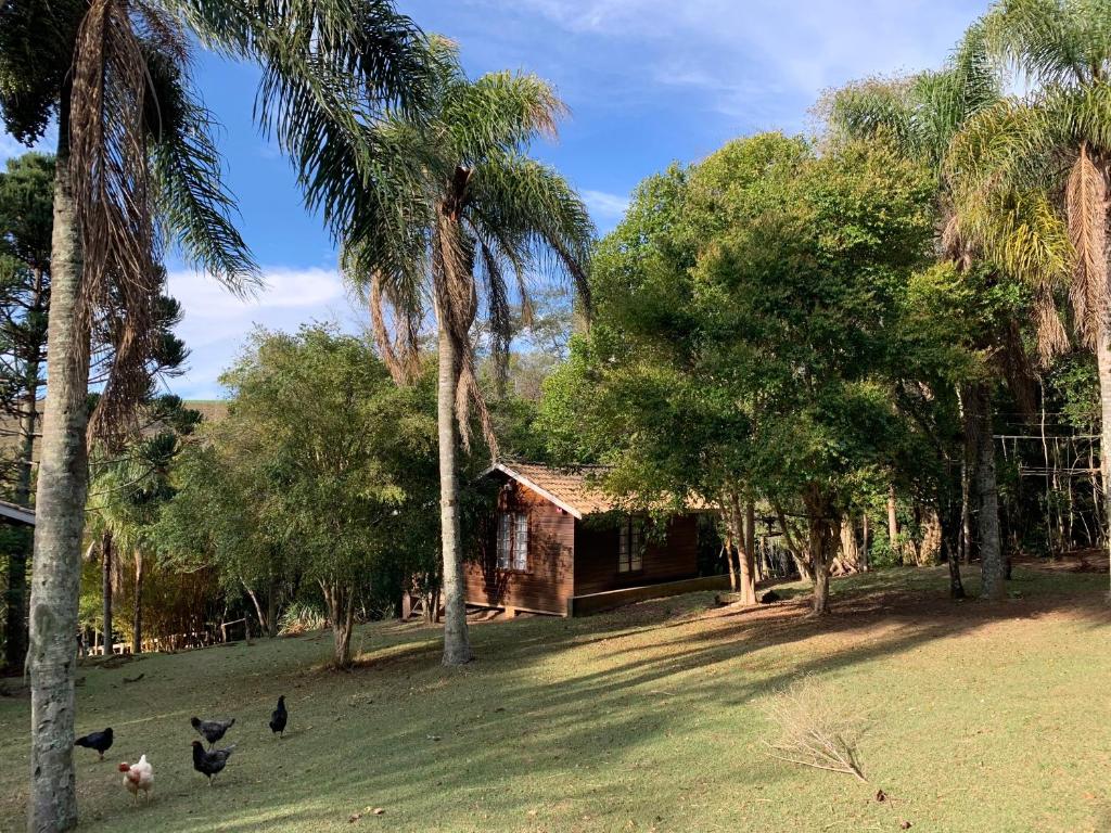 Pousada Aguaraguazu photo 4