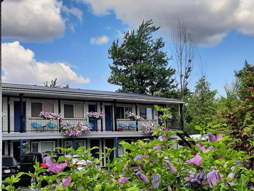 Blue Moon Motel photo 2