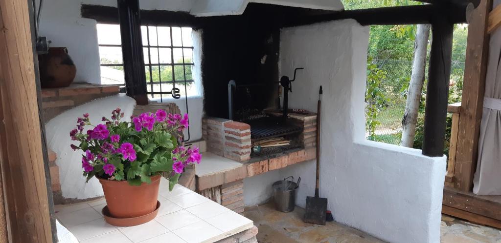 Casa Rural La Marta photo 3
