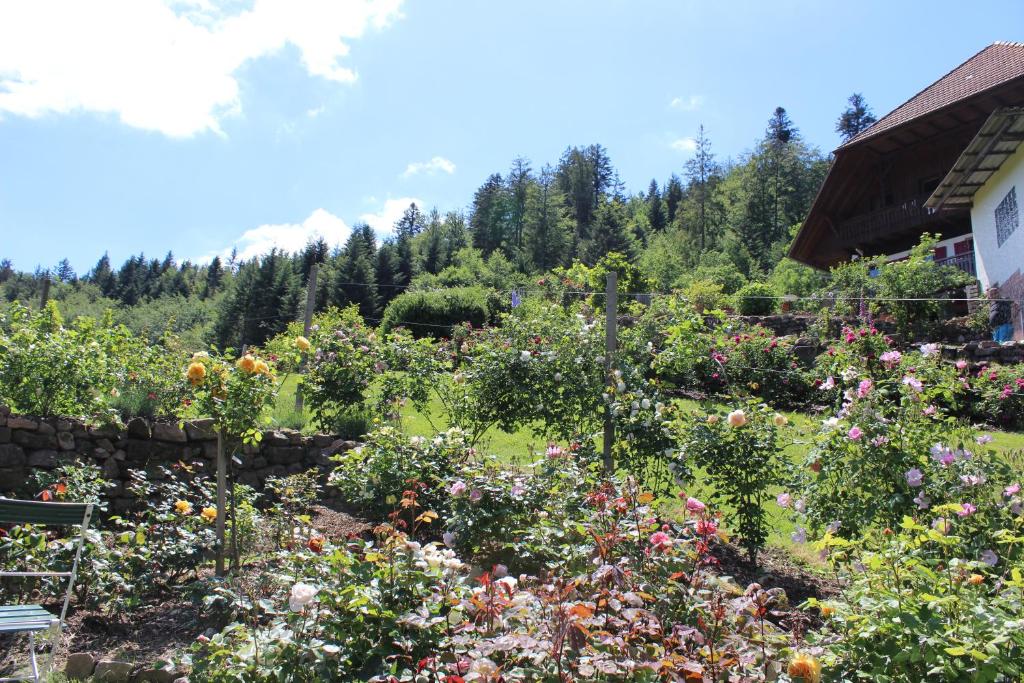 The Moosbach Garden photo 4