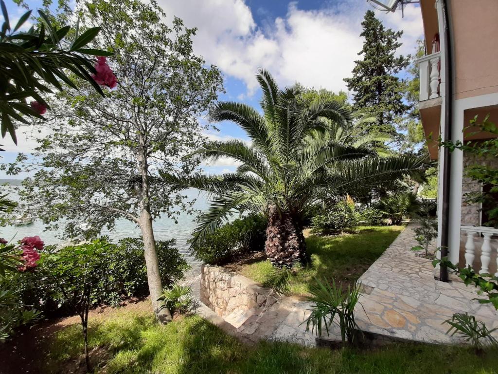 Apartments Agrijan photo 1