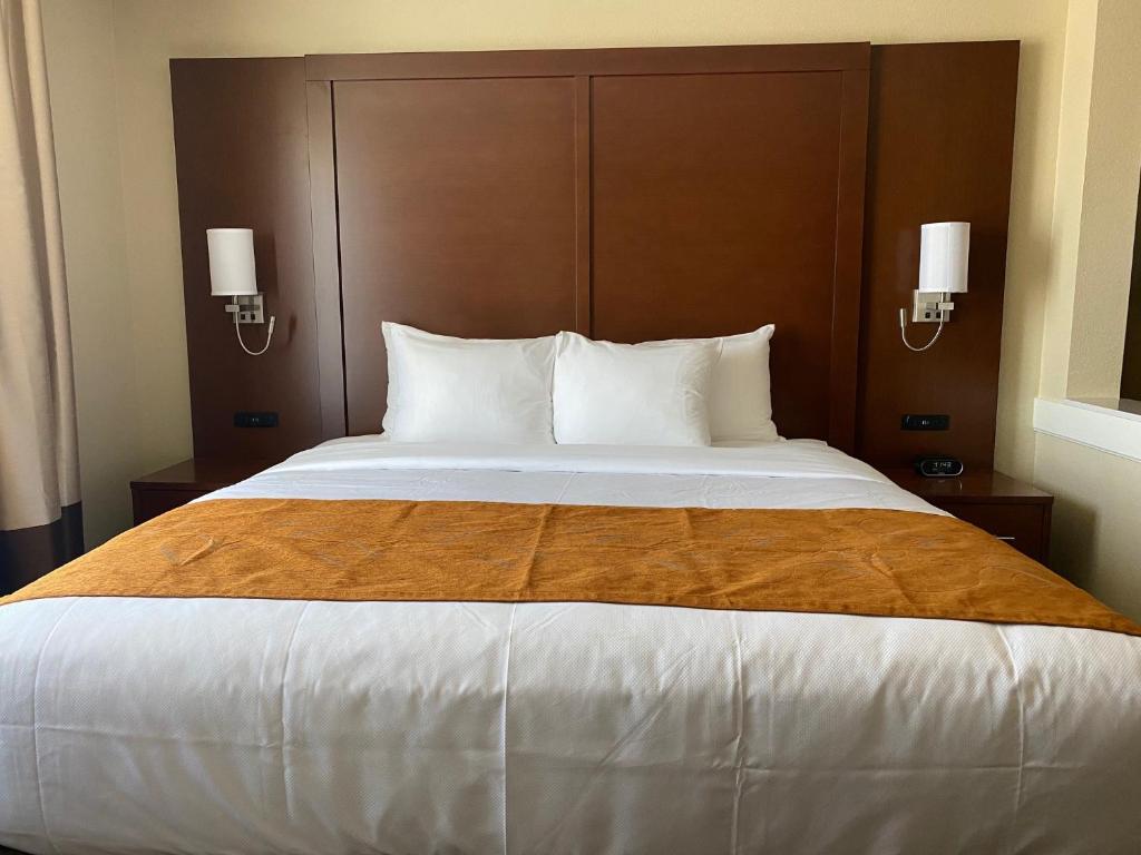 Comfort Suites Midland West photo 3