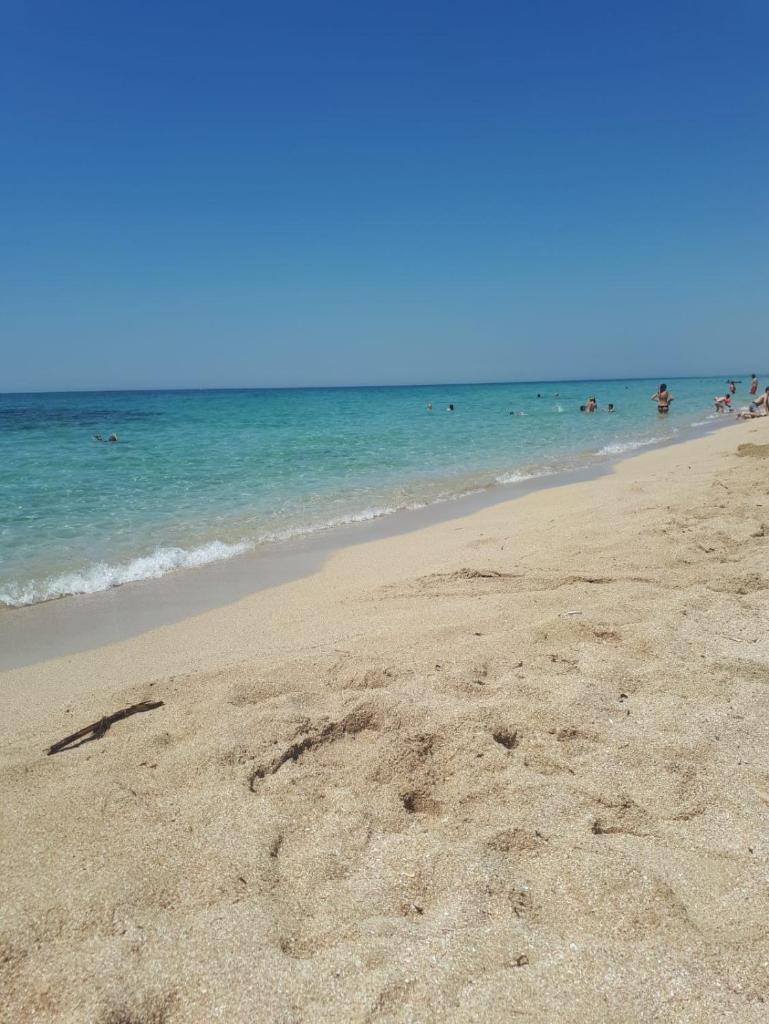 Villa Bacino del Conte photo 2