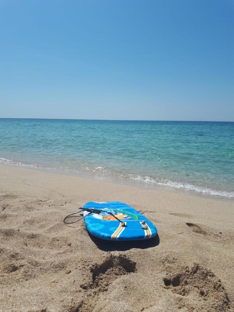 Villa Bacino del Conte photo 3