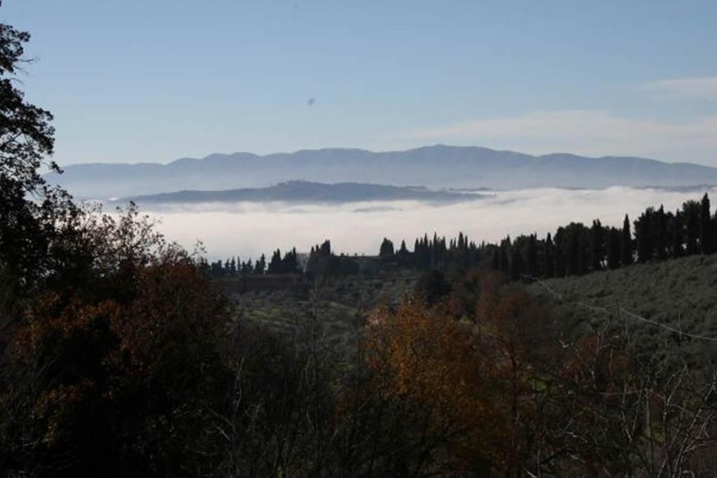 C&C Il Treggio photo 3