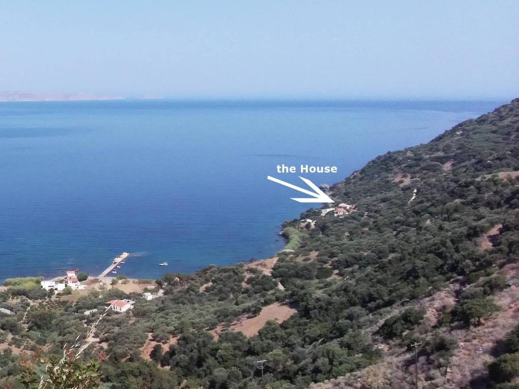 House With Private Place To Swim, Solitary View photo 4