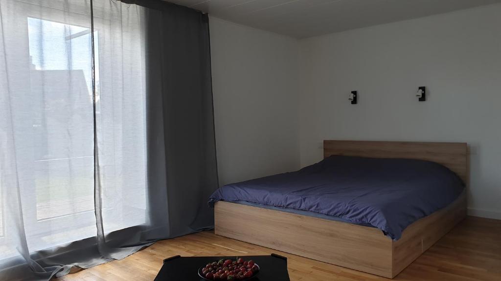 Muziejaus 10 studija photo 1
