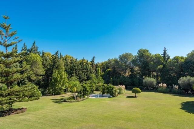 Peace & Tranquility, Sotogrande, Spain photo 3