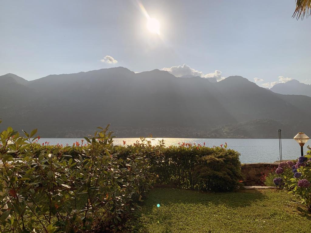 Terrace on the Lake photo 2
