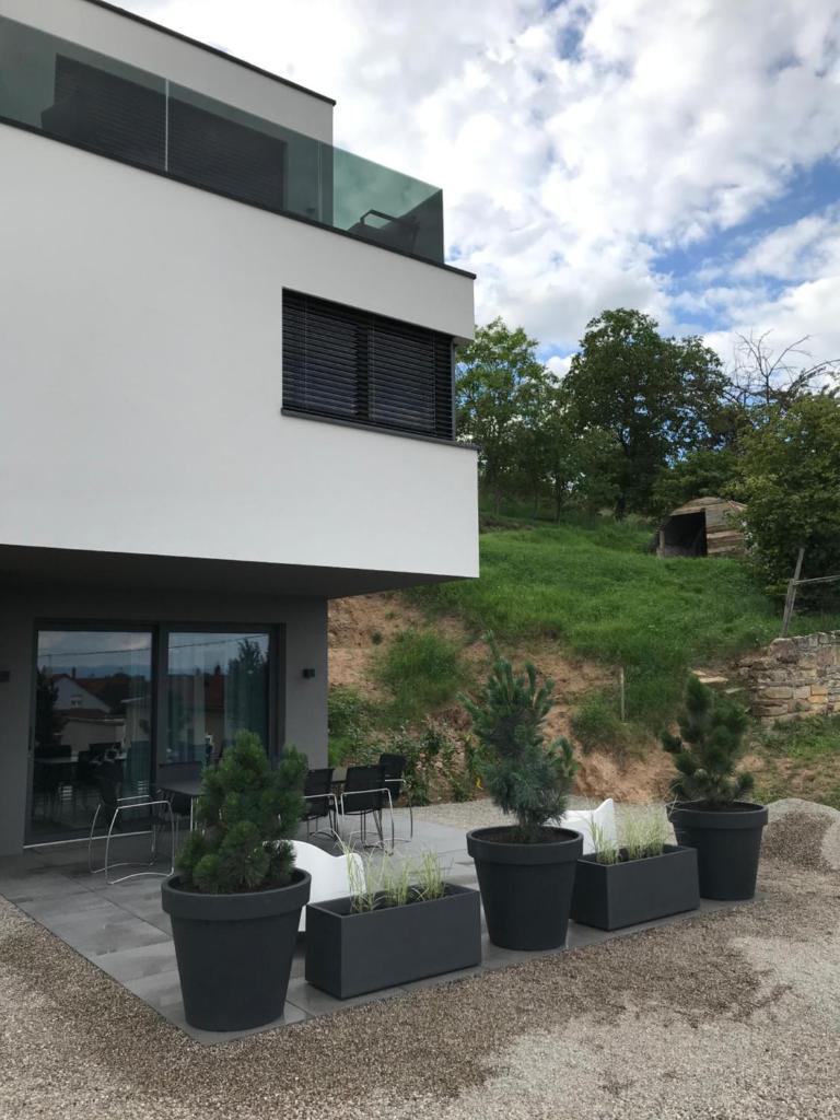 TheGuthPlace photo 2